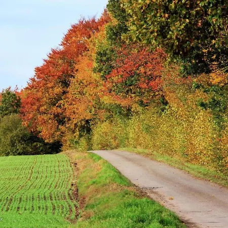 Modern With Hot Tub 公寓 *