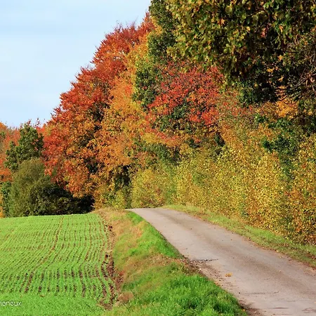 Modern With Hot Tub Διαμέρισμα *