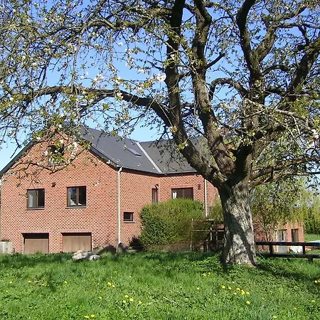 With Pool And Sauna Apartment